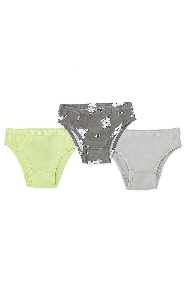 HelloBaby Erkek 3lü Slip Külot - 1