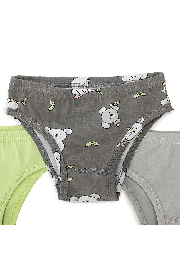 HelloBaby Erkek 3lü Slip Külot - 3