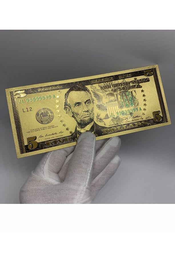 Kağıt Para Koleksiyonu Başlangıç Seti - Kağıt Para Albümü ve 7’li Altın Varaklı Dolar Seti - Bordo - 5
