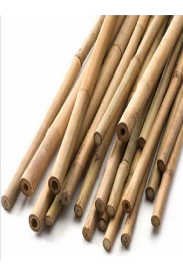 Bambu bitki destek çubuğu 180 cm (5 adet) - 1