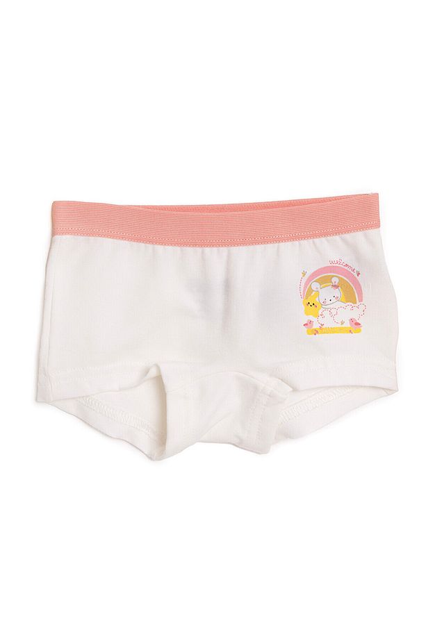 HelloBaby 3lü Boxer Kız Bebek - 3