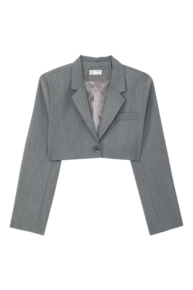 Stylish Lapel Detailed Crop Blazer for Women