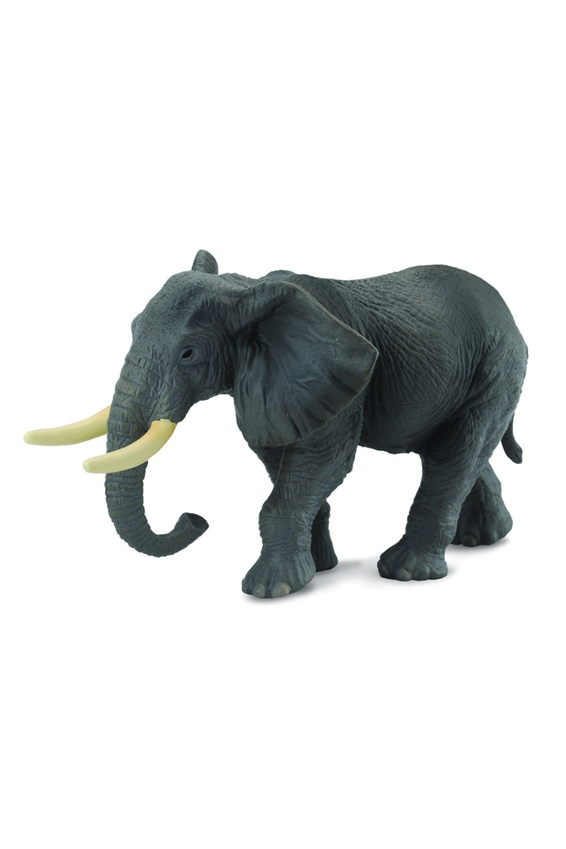 Elefant african - 2