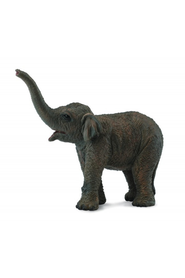 Pui de elefant asiatic - 2