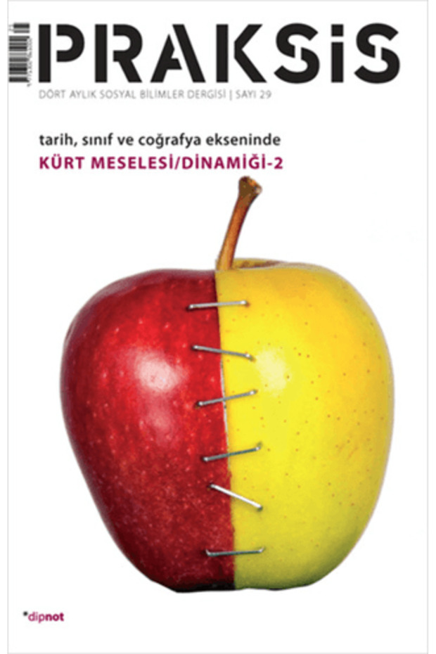 Praksis Sayı: 29