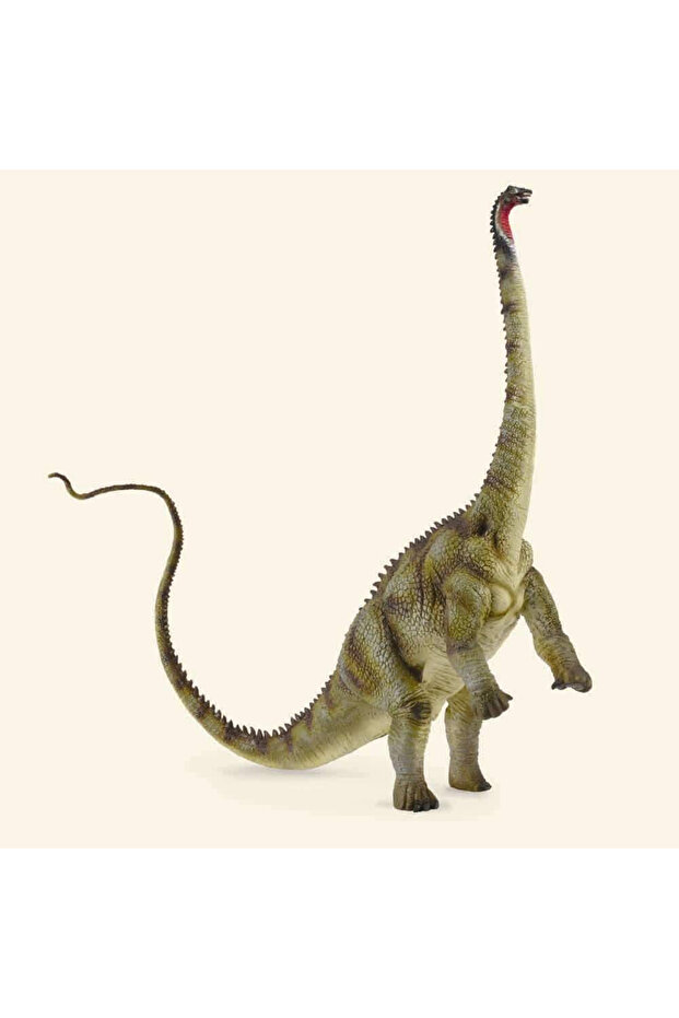 Dinozaur Diplodocus - 3