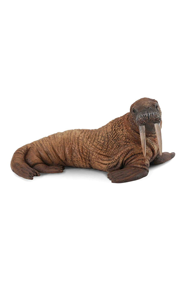 Figurina Morsa L - 2
