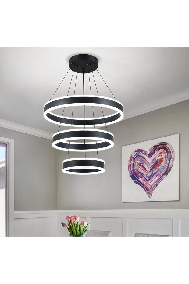 AFN Modern Dual-Side Ring LED Chandelier - Black Hanging Pendant Light