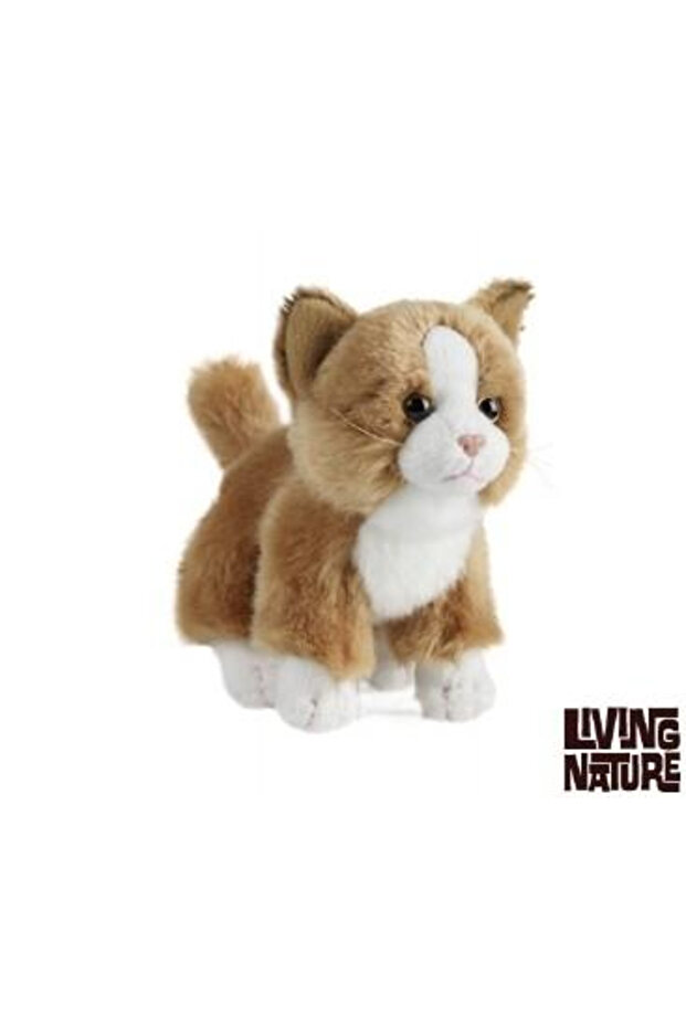 Pisicuta De Plus - 2