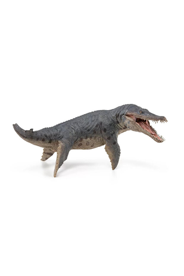 Ειδώλιο Κρονόσαυρου - 4