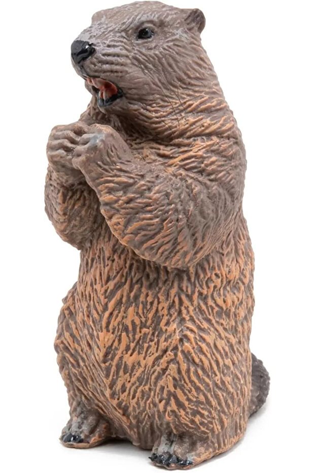 Figurină Castor - 6