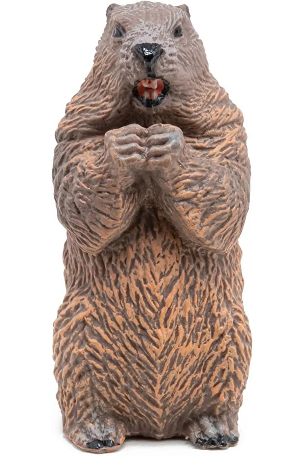 Figurină Castor - 5