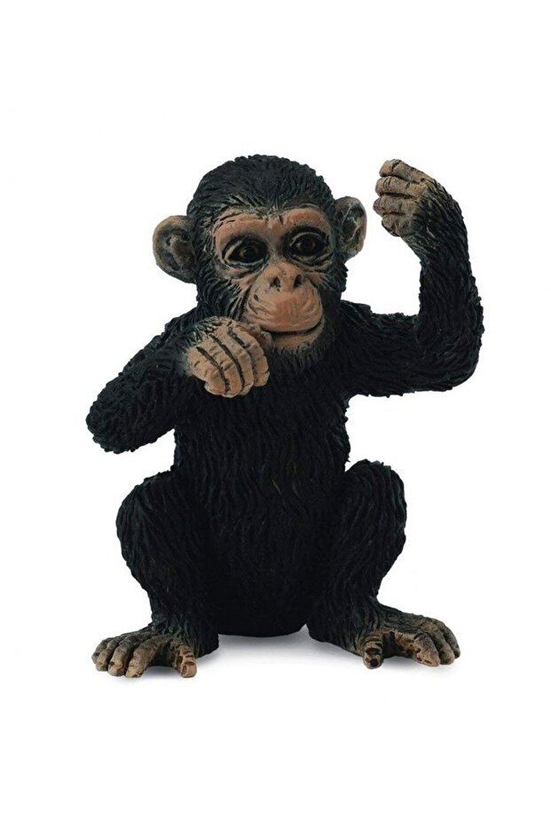 Thinking Baby Monkey - 1