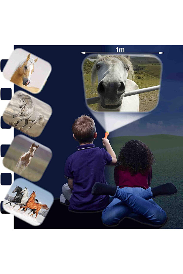 Proiector tip lanterna - Caluti - 6