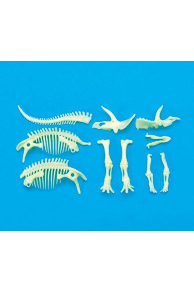 Reflective Triceratops Skeleton - 3