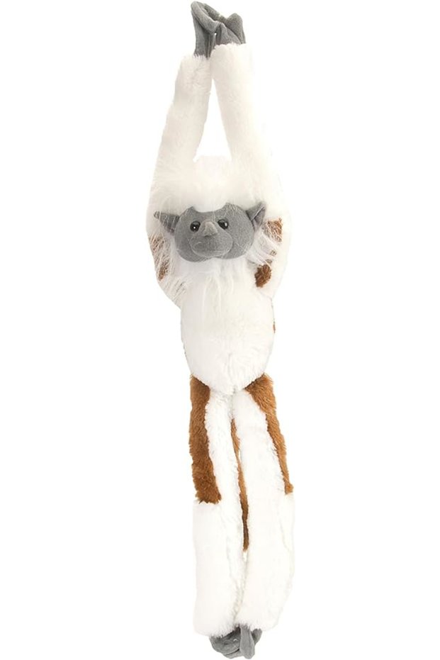 White Clinging Monkey