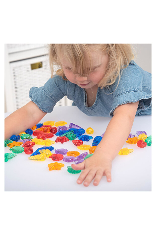 Sorting Set, Translucent Colored Shells, 72 Pieces - 3
