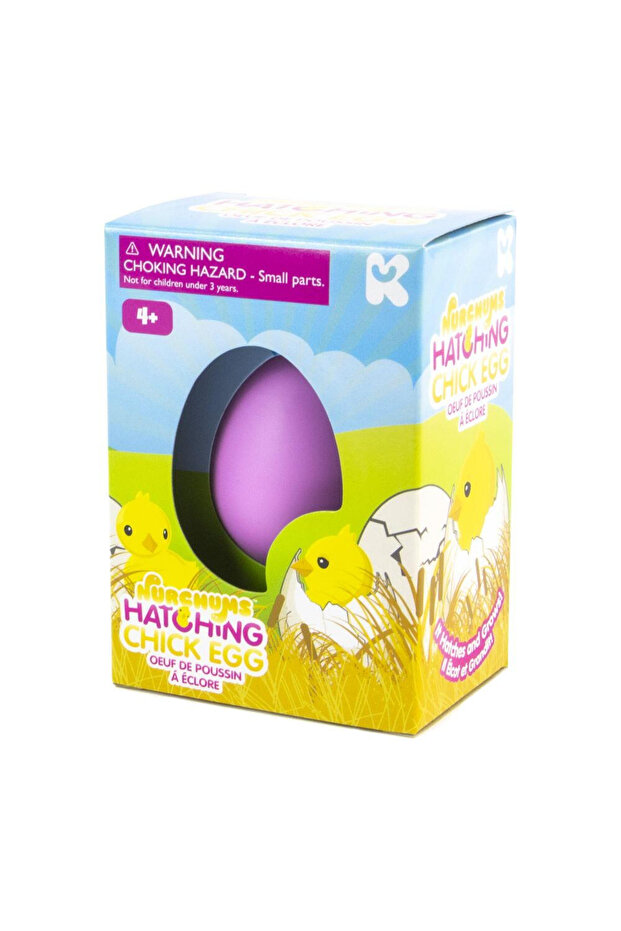 Small Egg - Chicken - Mini-set Experiments - 1