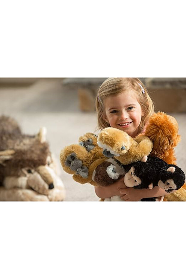 Lemur Clinging Monkey - 5