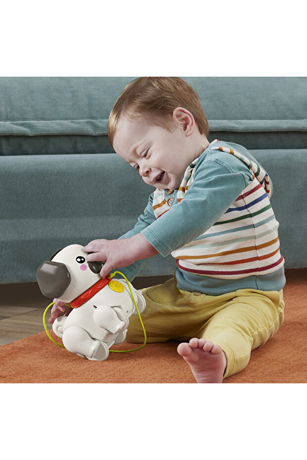 Fisher Price Interactive Pull Toy Puppy With Movements And Sounds - 4
