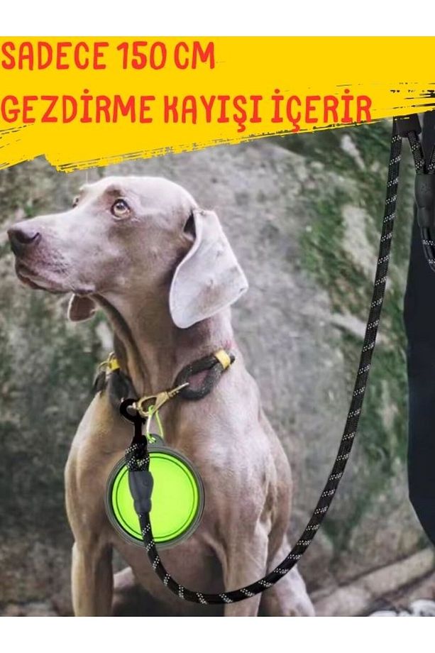 Köpek Gezdirme Tasma Kayışı Siyah 40 Kg'a Kadar Köpekler Için Tasma Halatı Gezdirme Ipi 150 Cm - 1