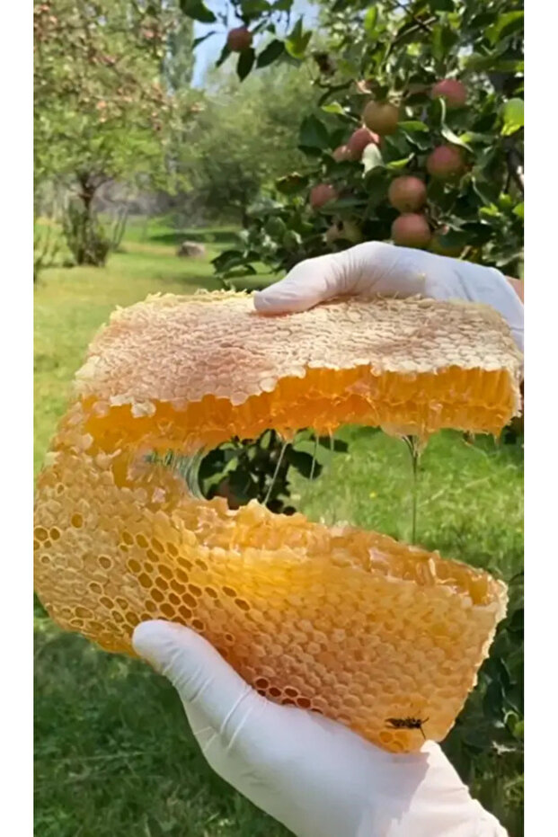 Karakovan Oğul Balı 3000gr. - 1