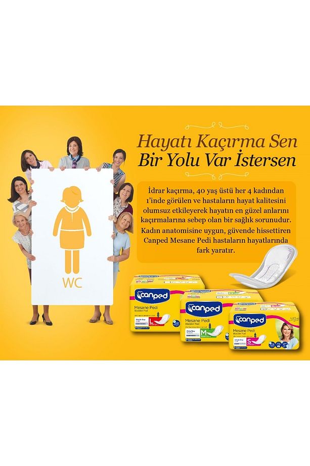 Mesane Pedi Klasik L - Large - Büyük Boy 30 Adet (3PK*10) - 3