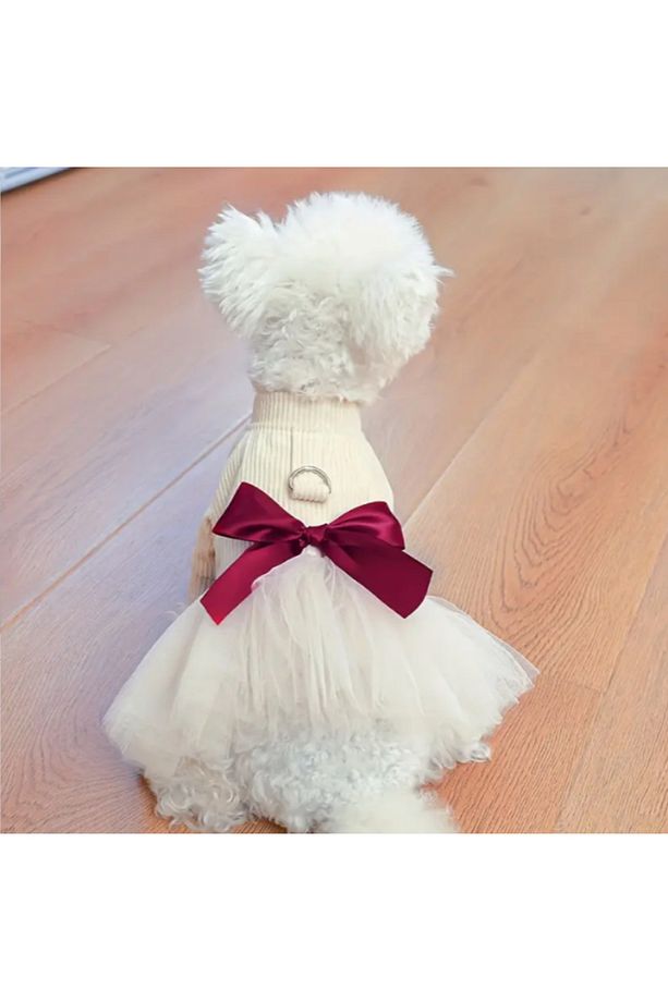 Tül Etekli Şık Köpek Elbisesi - 5
