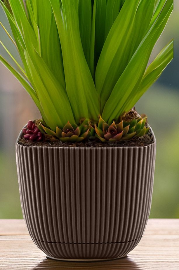 4 Adet No 4 Dekoratif Kaktüs Ve Çiçek Saksı Kare Saksı 4 Lt - 7