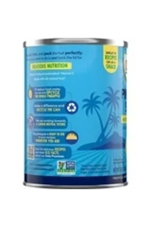 Pineapple Slices 567 Gr. - 2