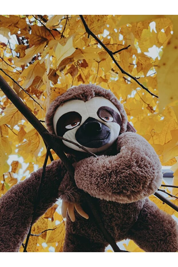 Jucărie de Plus Leneși 42 Cm - 7