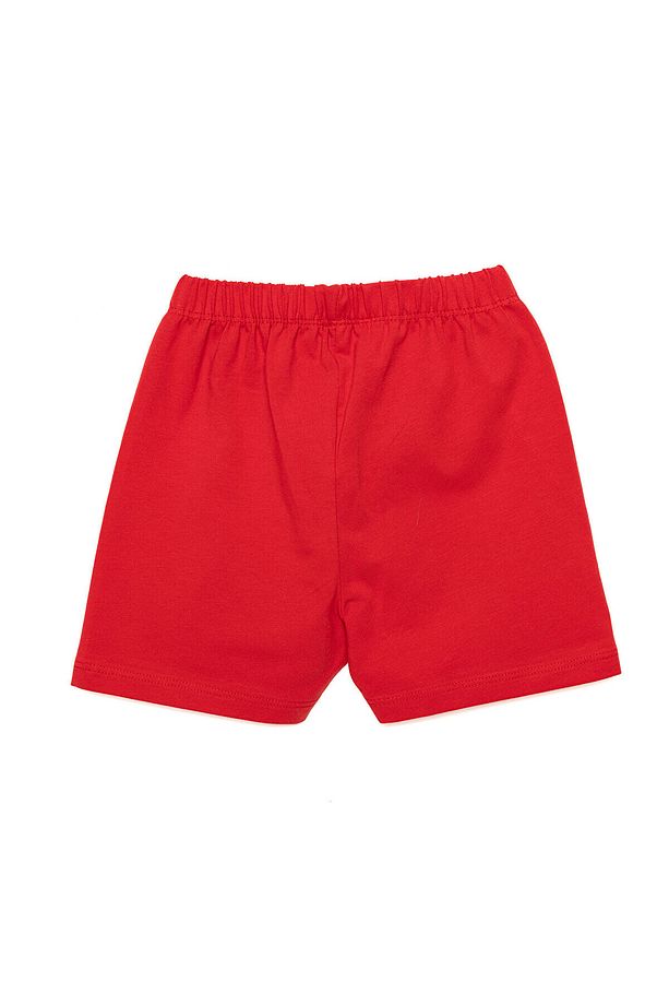 HelloBaby Basic  Şort Kız Bebek - 2