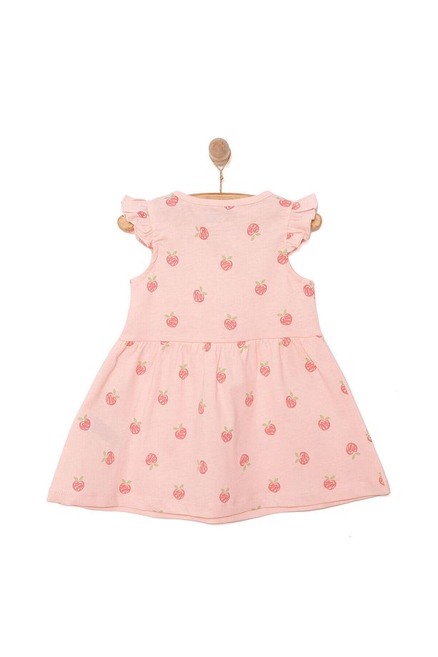 HelloBaby Basic Kız Şeftali Desenli Elbise Kız Bebek - 2