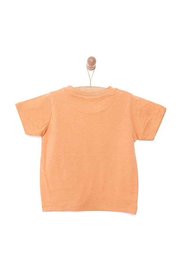 HelloBaby Basic Koala Baskılı  Tshirt Erkek Bebek - 2