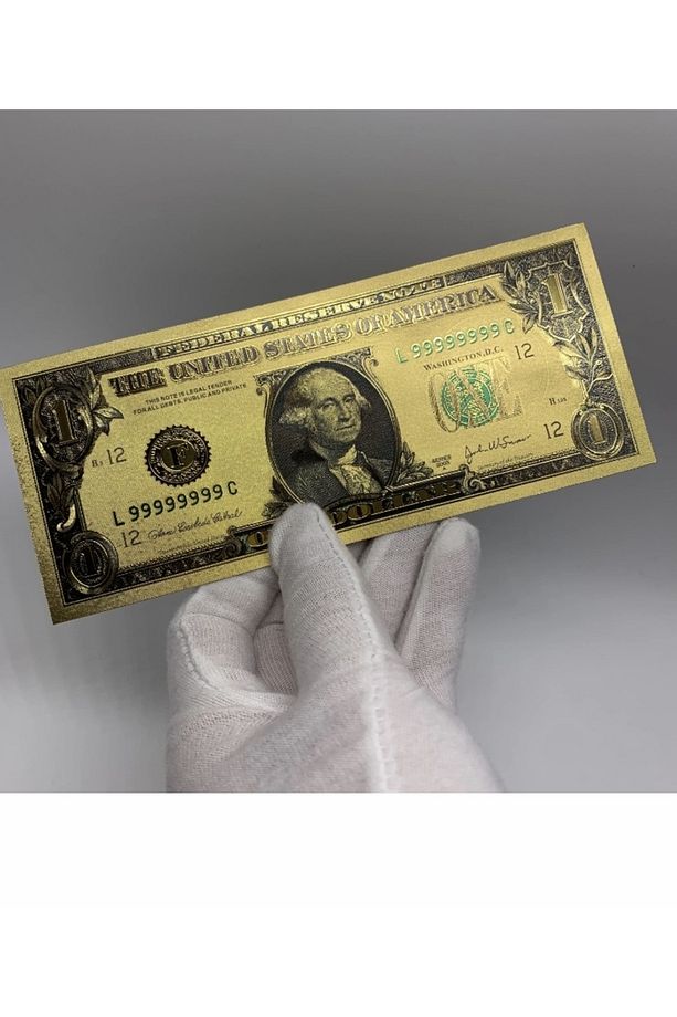 Kağıt Para Koleksiyonu Başlangıç Seti - Kağıt Para Albümü ve 7’li Altın Varaklı Dolar Seti - Bordo - 7