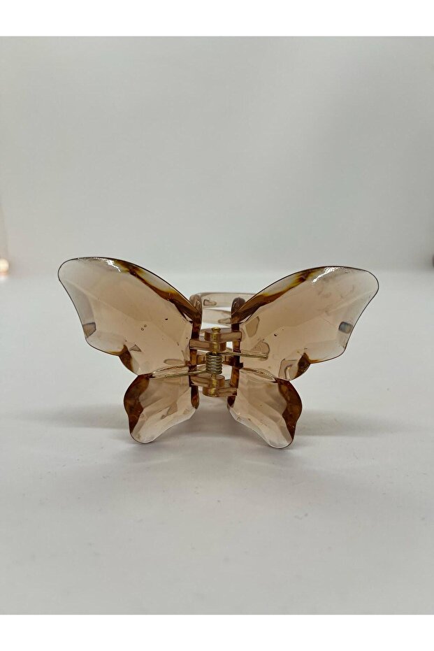 فراشة مشبك - 1