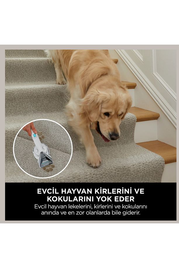 Taşınabilir Halı ve Koltuk Temizleme Makinesi - 3