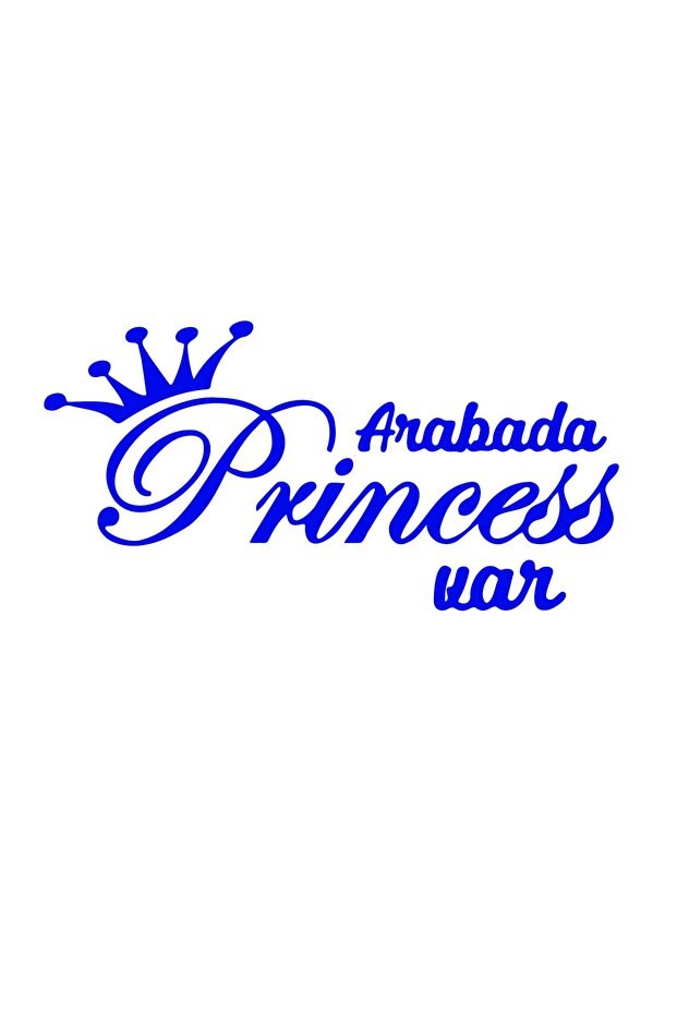 There's a Princess in the Car Car Sticker 30x15cm