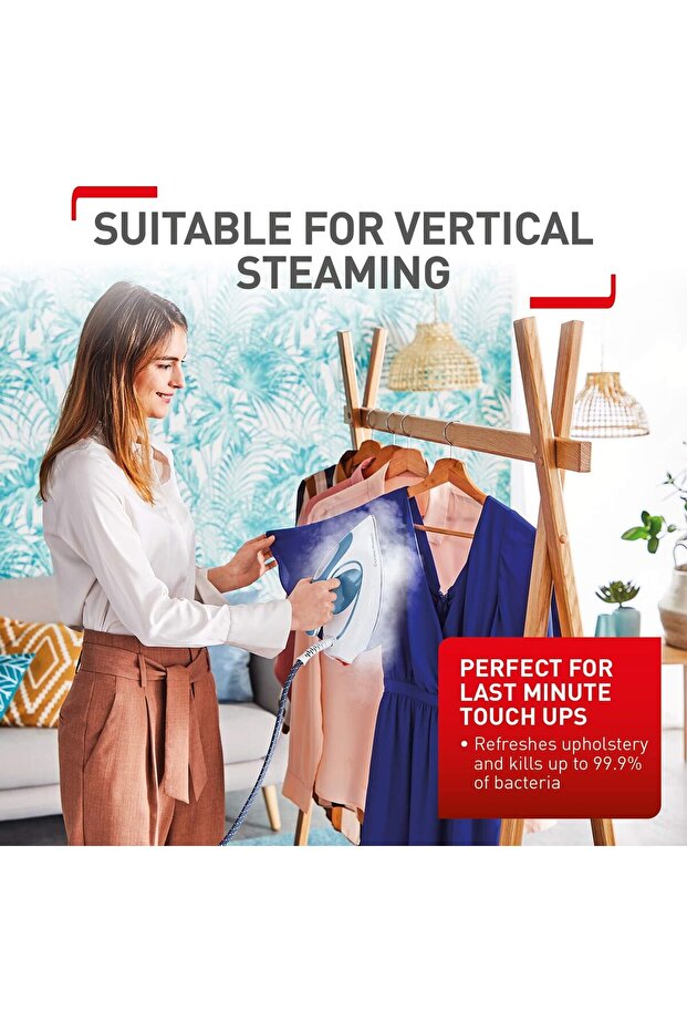 Steam Generator Iron - 3