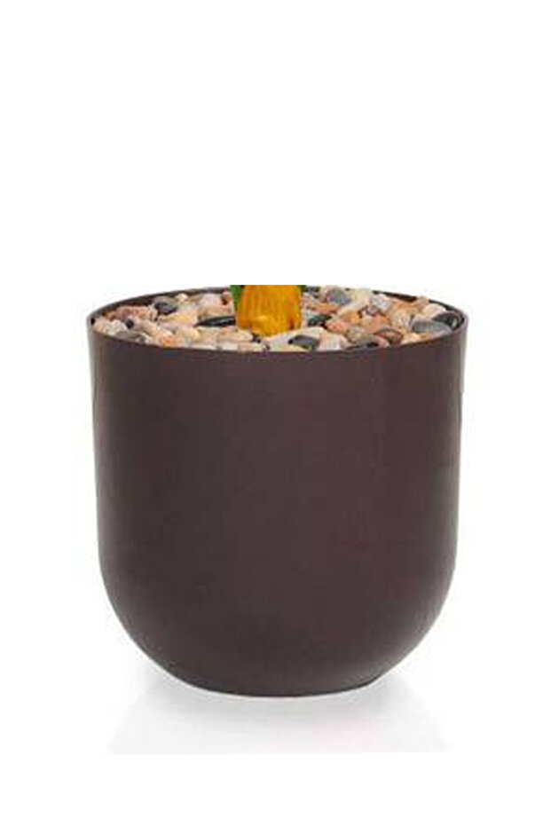 شجرة ذرة خضراء بمركن بلاستيك أسطواني - 3