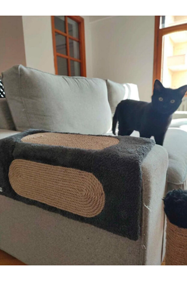 Cat Scratching Corner Board - Border - 4