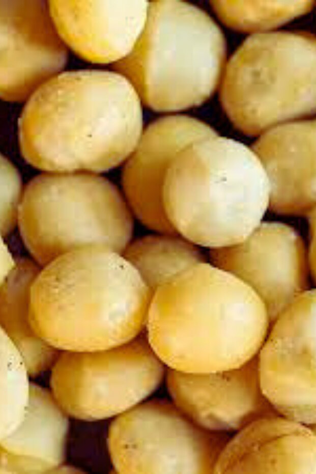 Makademya Fındık 400Gr