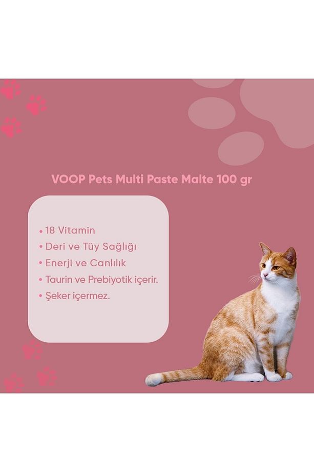 Pet Multi Paste Kedi Macunu | 100 gr - 3