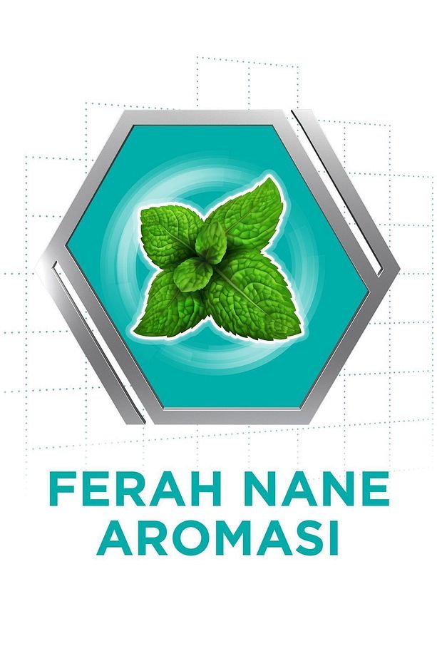 Diş Protezi Yapıştırıcı Krem Naneli 40 gr X3 Adet - 2