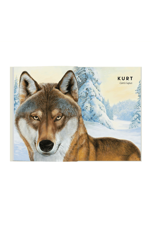 Tıpkısının Aynısı - 2