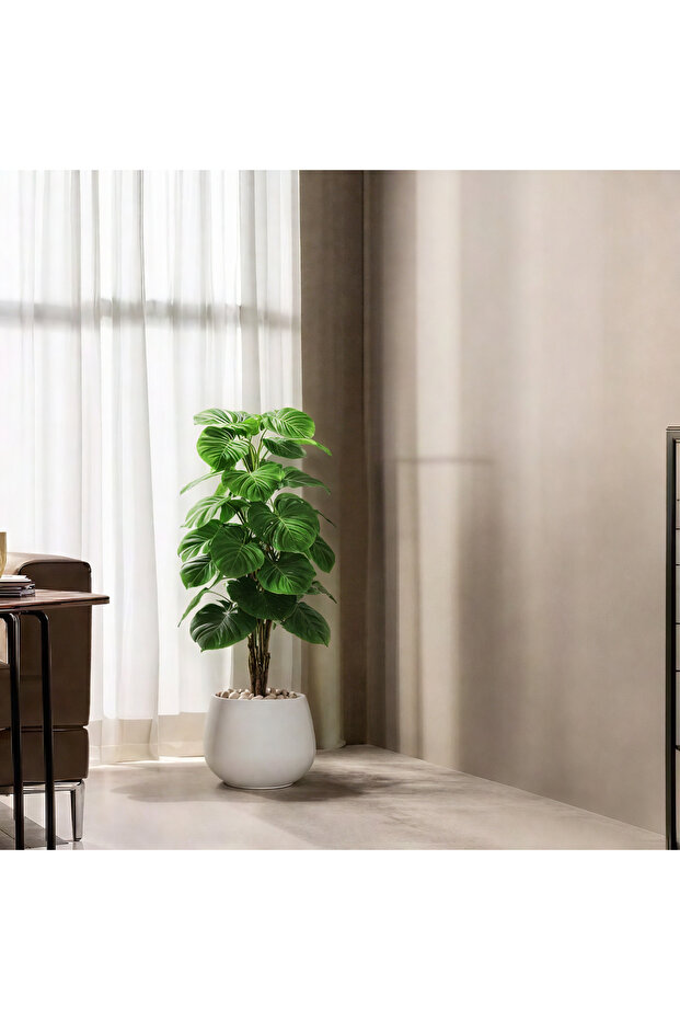 شجرة ألوكاسيا اصطناعية - بيضاء - 1