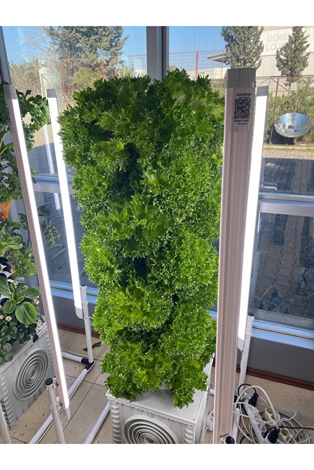 Agriveco Topraksız Dikey Tarım Kule Sistemi (40 BİTKİLİK) - 3