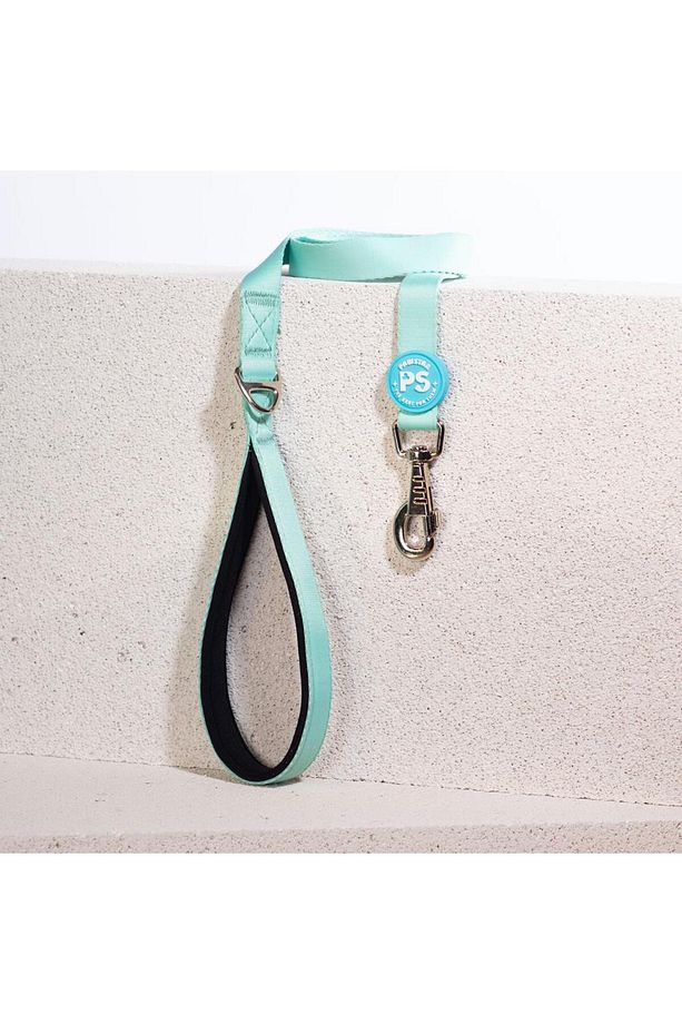 Mint Leash Kedi Köpek Sevk & Gezdirme Kayışı Köpek Uzatma Tasması - 1