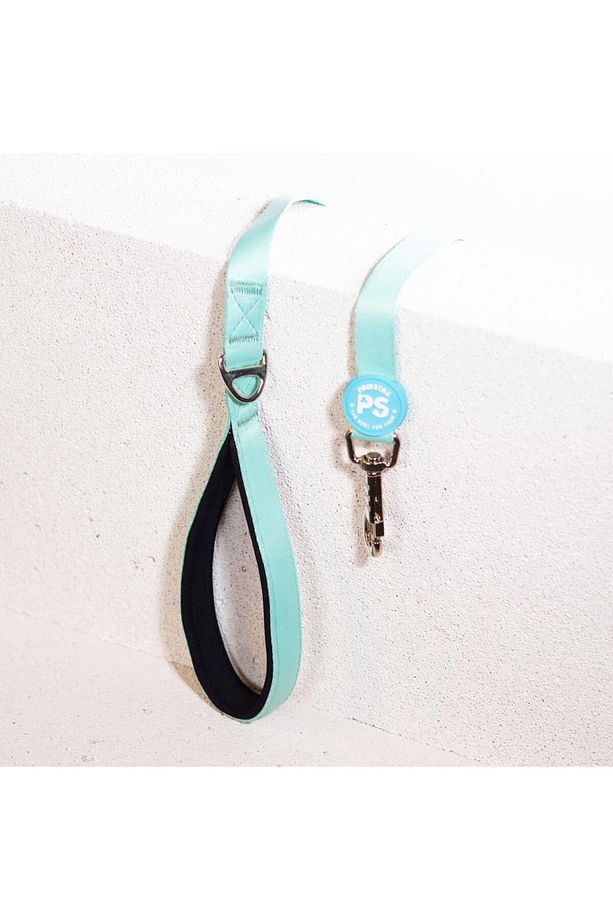 Mint Leash Kedi Köpek Sevk & Gezdirme Kayışı Köpek Uzatma Tasması - 2