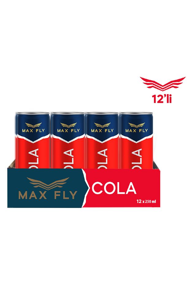 Cola 250 ml 12 Adet - 2